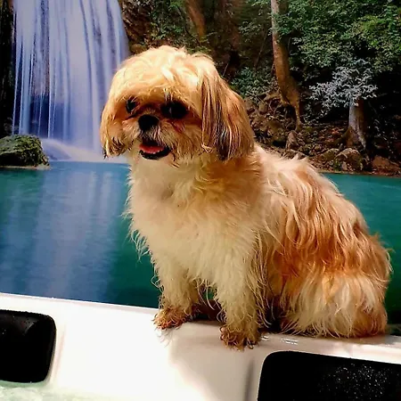 Rincon Do Mar Puesta Del Sol Apartment