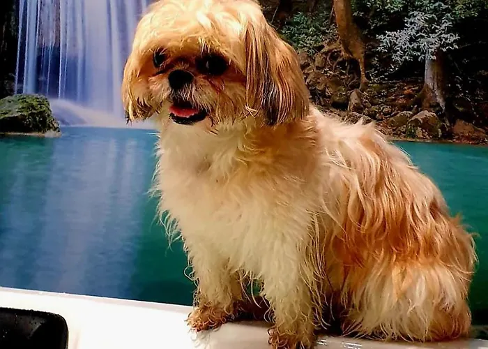 Rincon Do Mar Puesta Del Sol Daire