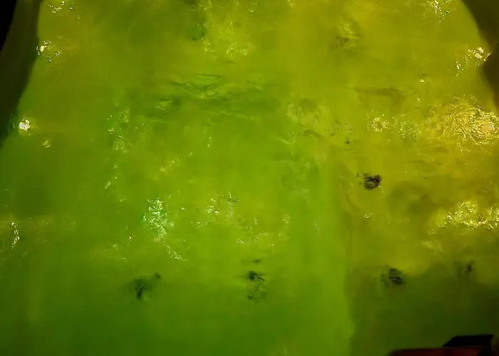 Rincon Do Mar Puesta Del Sol Daire